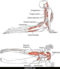 image for blogpost injuries